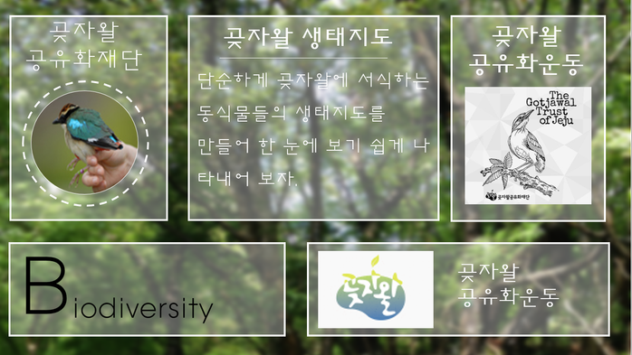제주도 곶자왈 공유화운동