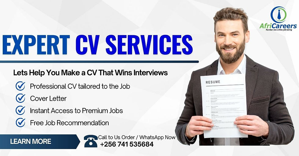 Get a professional CV Today