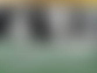    Two members of the Gavião tribe, indegenous to the jungles of the Amazon     The Whistling Tribes That Inspired Ascendant: Saga of Valor    Whistling: A Real-World Marvel  In Ascendant: Saga of Valor, characters send messages across dense jungles and towering mountains with a sharp, melodic whistle, skill that feels almost magical. But truthfully it isn't a product of my imagination. Did you know indigenous tribes in South America have been using whistling to communicate for centuries, turning a simple sound into a powerful tool for survival. Welcome to the first installment of "Reality More Fantastic than Fantasy," where we will take a closer look at the real-world inspirations behind the scenes.     Today, we’re diving into the origins of the whistling communication in Ascendant—a near magical and certainly beautiful practice.    Whistling: The Ancient Cell Phone  Whistled language is an evolution born out necissity. It is a survival tool. Tribes use it to sling messages across de