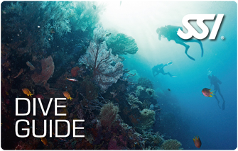 GUIA DE BUCEO