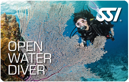 OPEN WATER DIVER