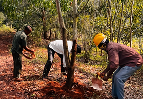 Screenshot 2022-12-28 131511.png