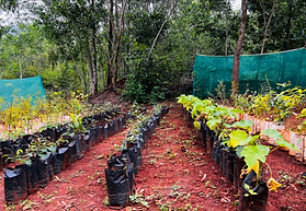 Screenshot 2022-12-28 131511.png