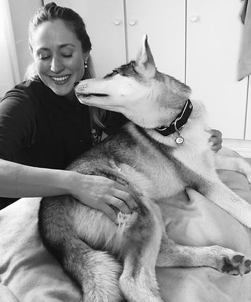 Dog osteopath