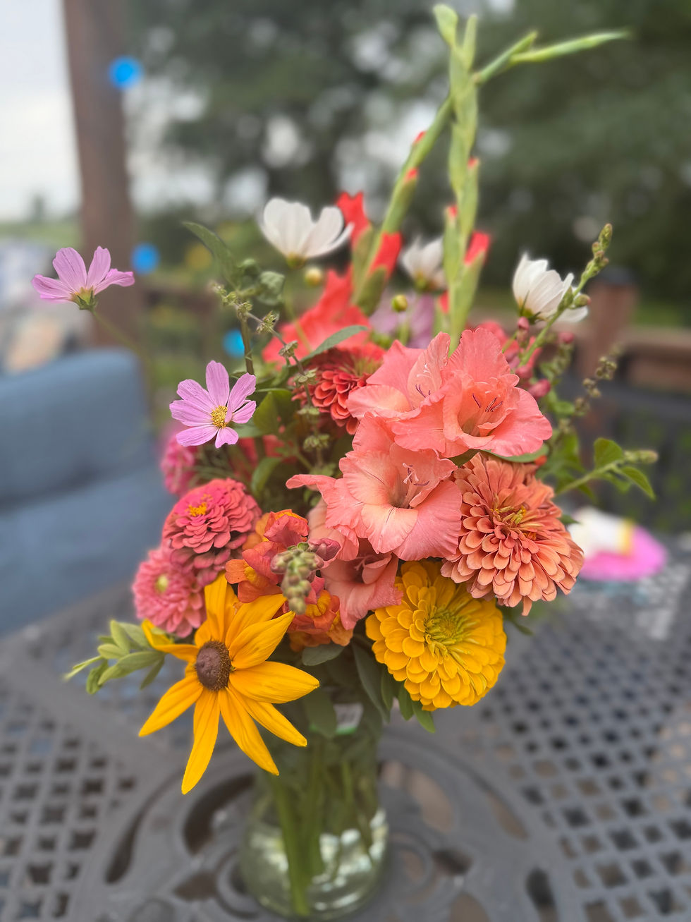 BlumeFields Farm U-Pick