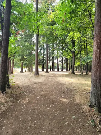 Thoughts on Connection, Community, & a Nasty Troll