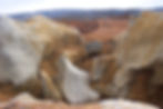 fieldkarst1.jpg