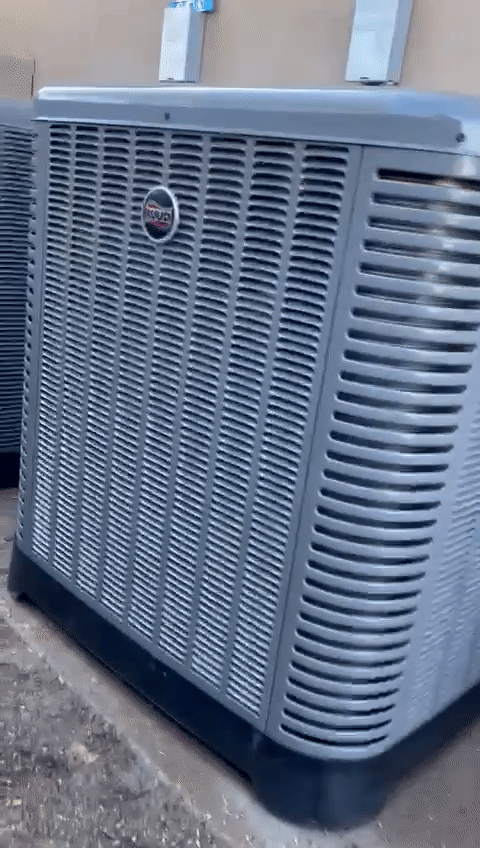 ezgif.com-video-to-gif (2).gif