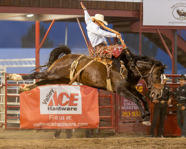 2025_WESTCLIFFE_R1_SB_JASE STOUT_SUMMIT_JESSE'S GIRL_82.5_PINTAR_1581-2.jpg