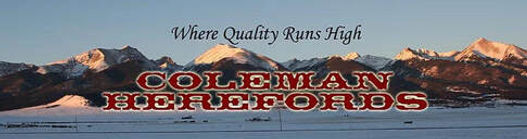 Coleman Herefords.jpg