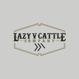 Lazy V Cattle.jpg