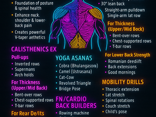 🔥 The Posture Powerhouse: Biomechanics of a Strong, Wide & Injury-Resistant Back