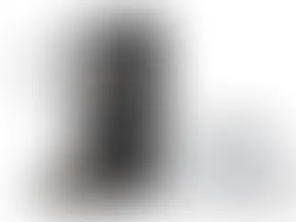 smart feeder vs traditional feeder