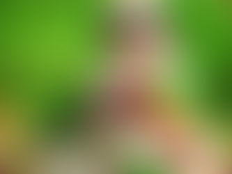 understanding childhood nutrition needs in 2025