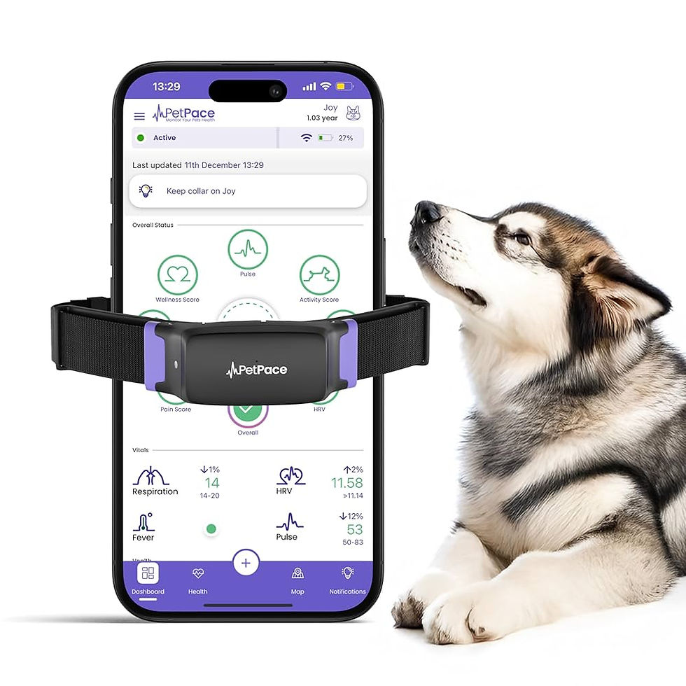 Contact us to report infringement