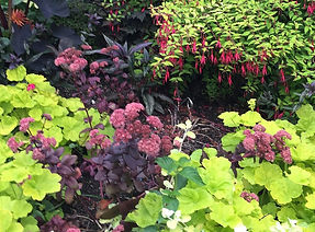 Vivid Landscaping Into the Garden Inc. Landscaping Services All Rights Reserved 2019-2025