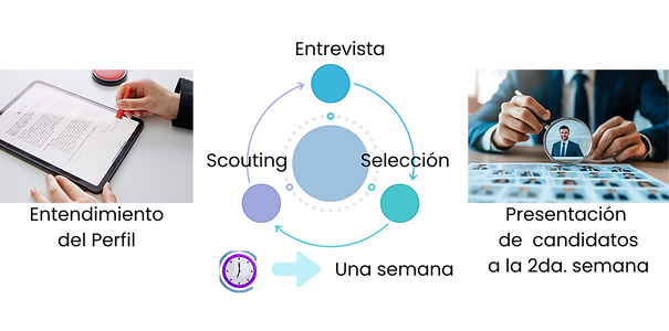 CICLO DE RECLUTAMIENTO (fondo trans).png