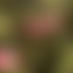 Exploring of Grief ~ Duty