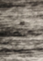 Cosmos. Moonlight and Sea. Monaco 2020