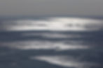 Waves of Larvotto. Monaco 2017