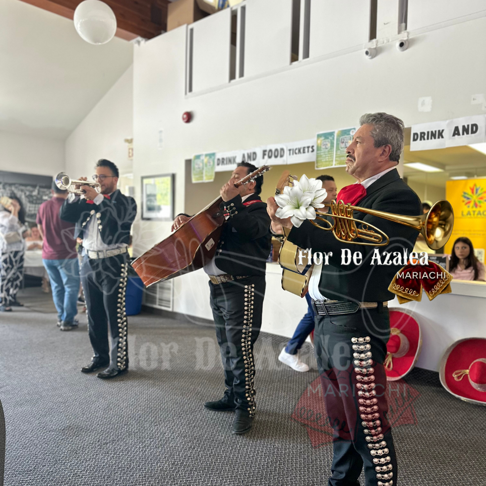 mariachi-show-live-entertainment-ontario.jpg