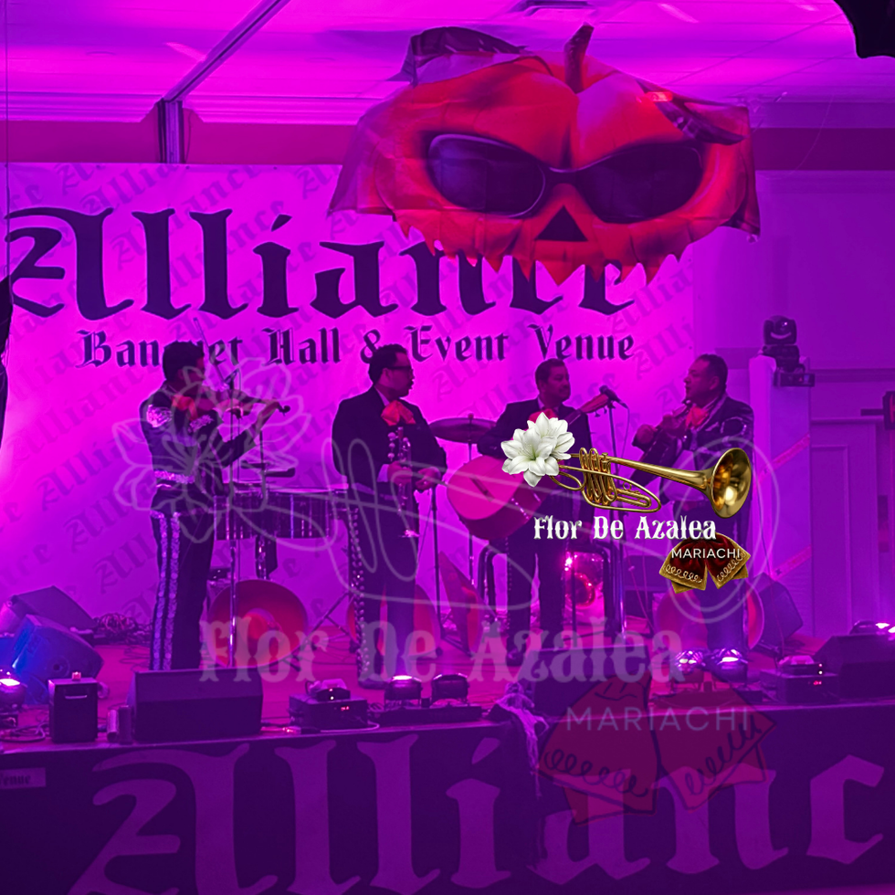 cultural-live-music-toronto.jpg