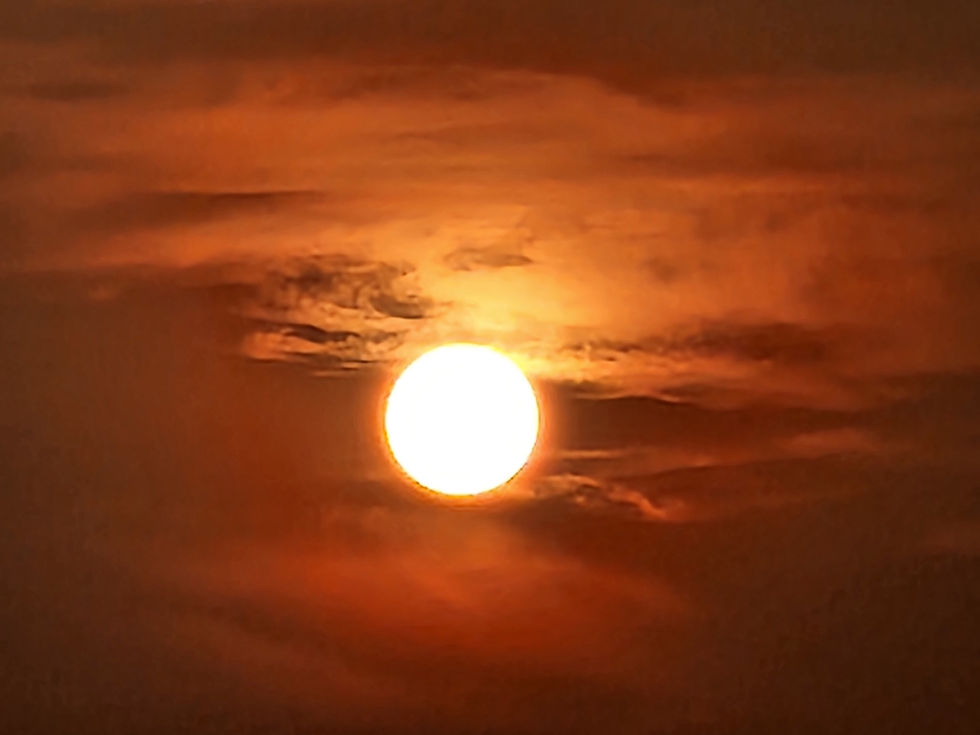 Vibrant orange sunset