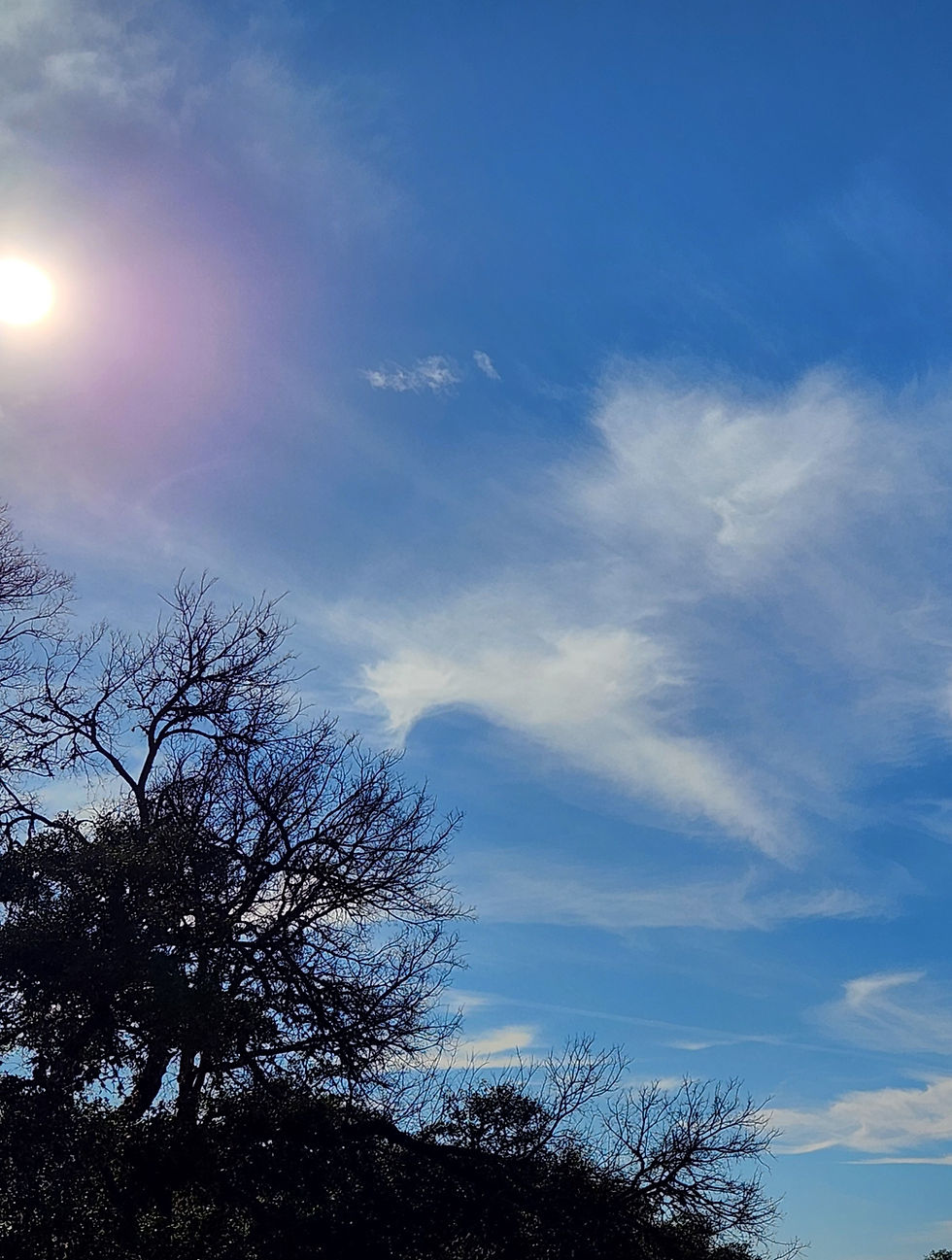 Bright sun over trees and clouds in a blue sky.