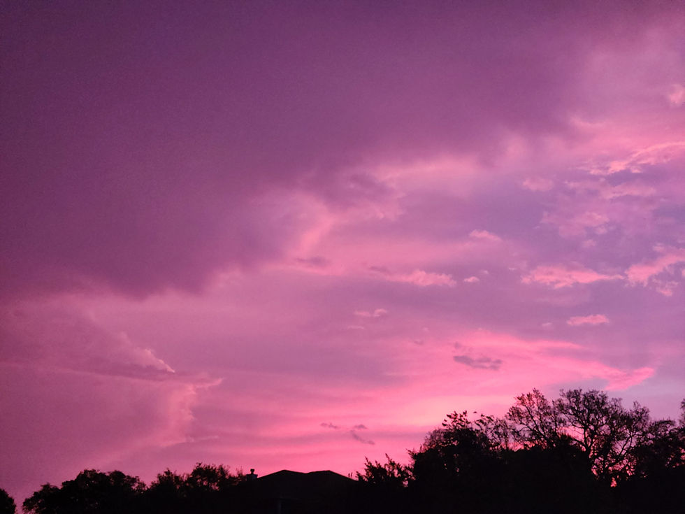 Pink and purple cotton candy sunrise over silhouetted trees