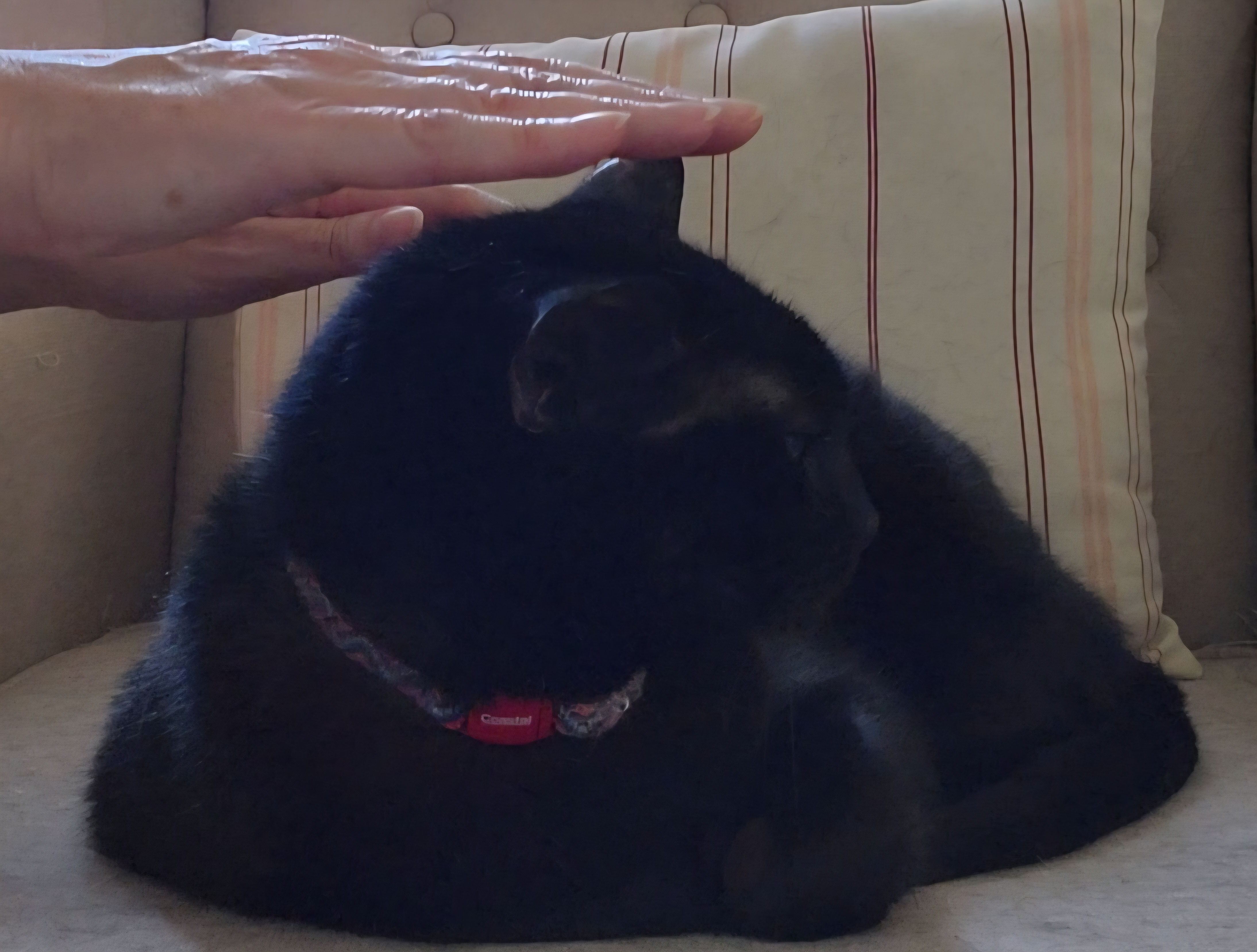 Receiving Reiki Treatment