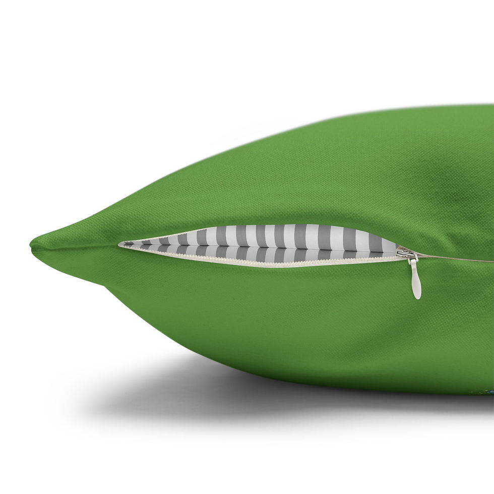 Thumbnail: Dragon Fly Square Poly Canvas Pillowcase Locally Salted 