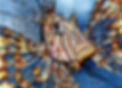 scan lionfish 2.jpg