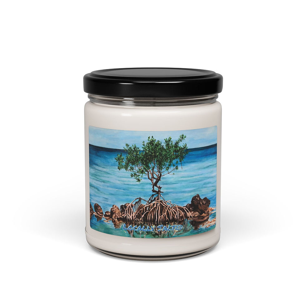 Thumbnail: Mangrove Locally Salted Island Scented Soy Candle, 9oz 