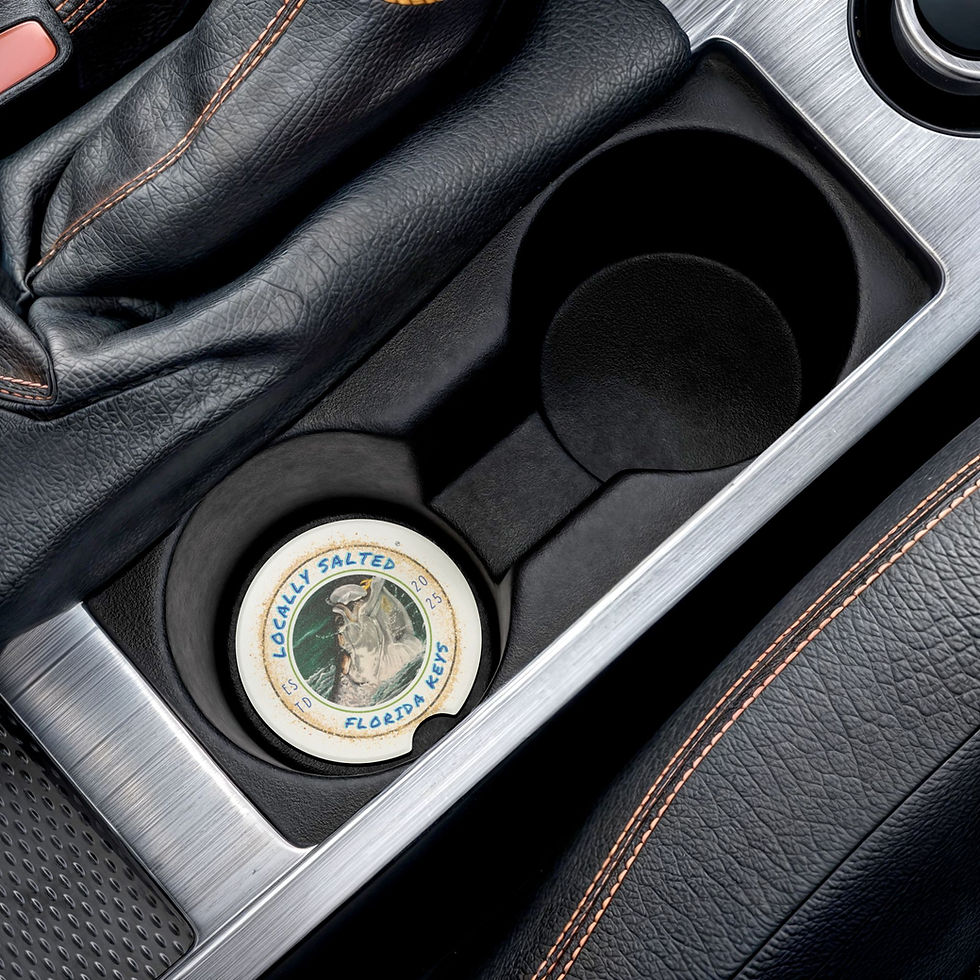 Thumbnail: Locally Salted Soapstone Car Coaster Tarpon Design