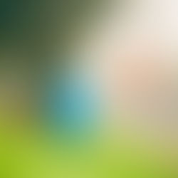 TV番組表フリーペーパー【TVホスピタル】様へ広告を掲載させて頂きました