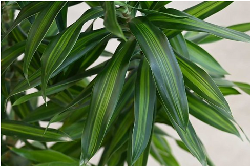 Screenshot 2025-03-04 222102.png