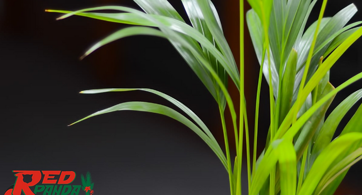 تصاميم صور (1140 x 768 بيكسل).png