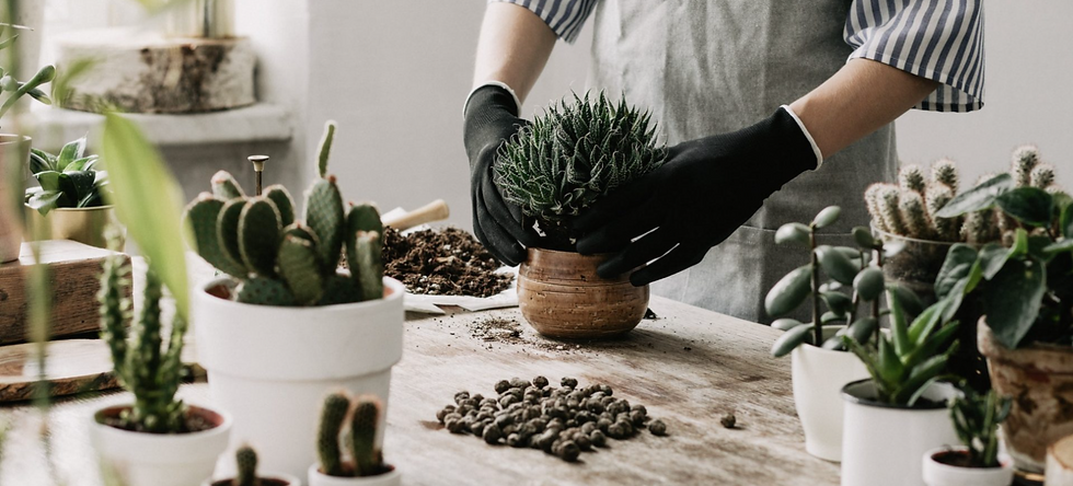 Screenshot 2025-03-08 142651.png