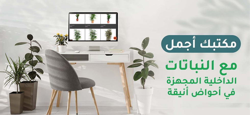 دون عنوان (1140 x 526 بيكسل).png