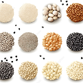 pngtree-vector-set-of-grain-seeds-a-detailed-collection-of-various-cereal-image_13906851.p