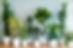house-plants-decor-grouping-0213.jpg