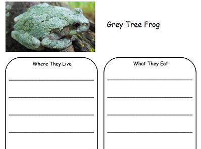 AnimalSheet Screenshot.png