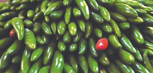 Chiles jalapenos Salmonela COLOR EFE.jpg