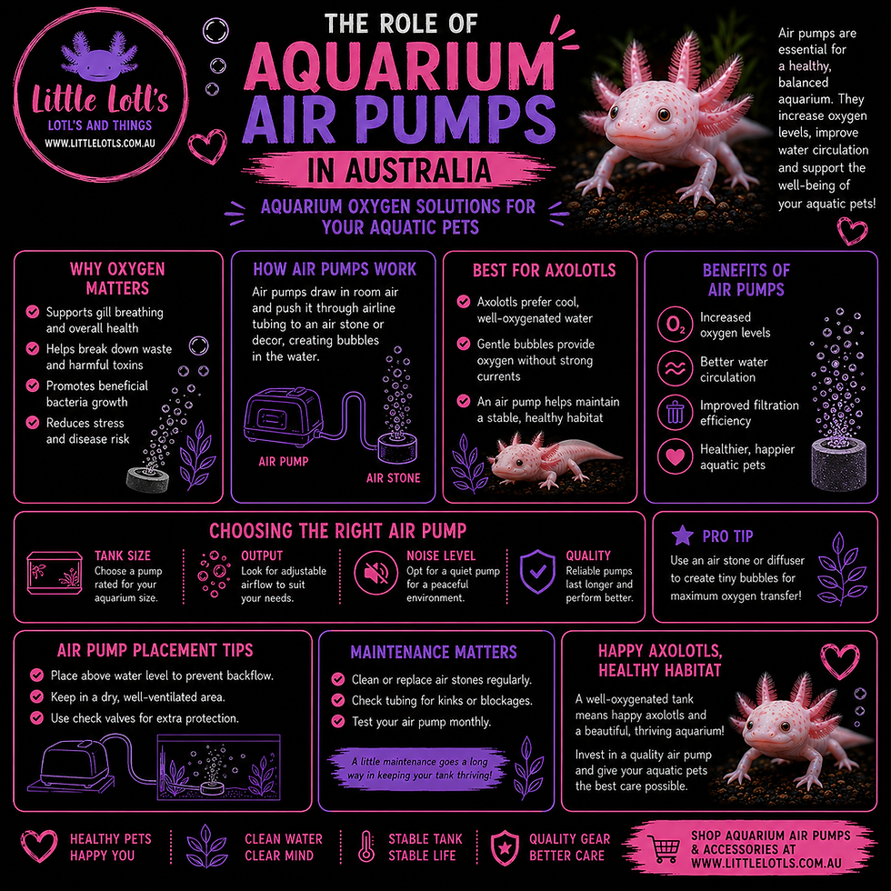 The Role of Aquarium Air Pumps in Australia: Aquarium Oxygen Solutions for Your Aquatic Pets