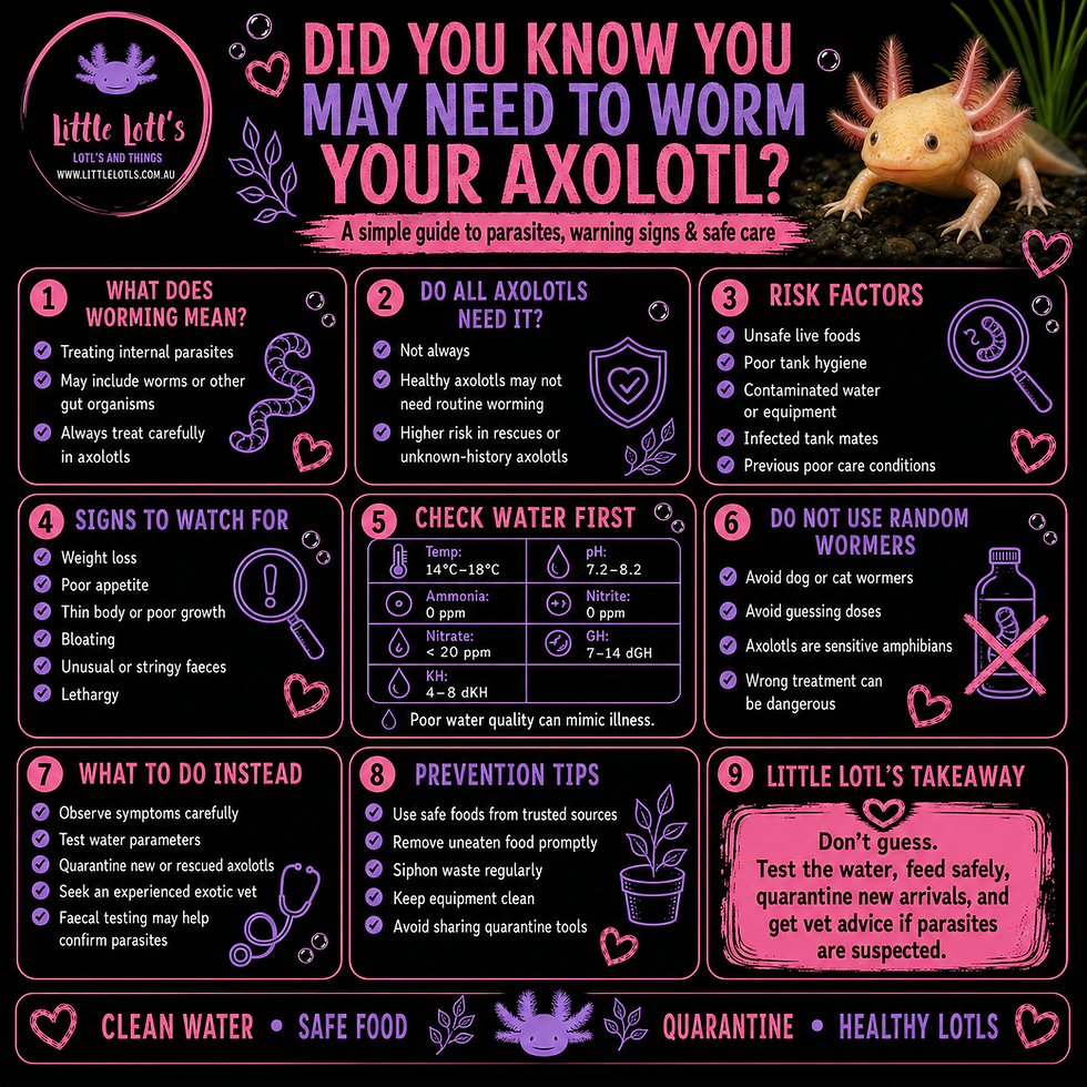 Did You Know You May Need to Worm Your Axolotl? Infographic