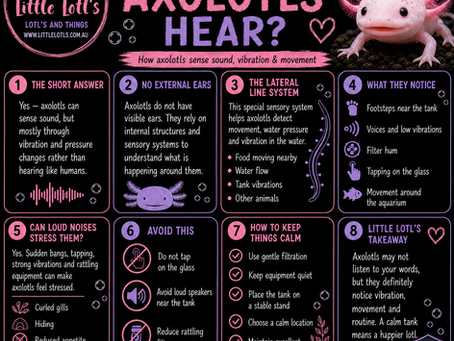 Can Axolotls Hear? Understanding How Axolotls Sense Sound and Vibration
