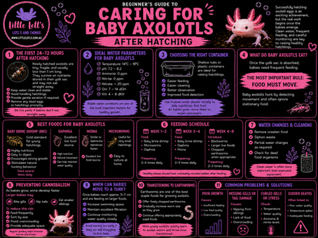 Signs of a Healthy Axolotl