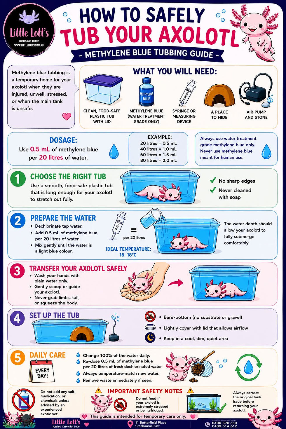 How to Safely Tub Your Axolotl Using Methylene Blue