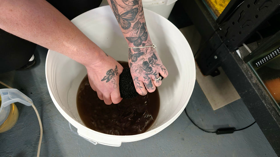 Eye-level view of aquarium decorations being cleaned outside the tank