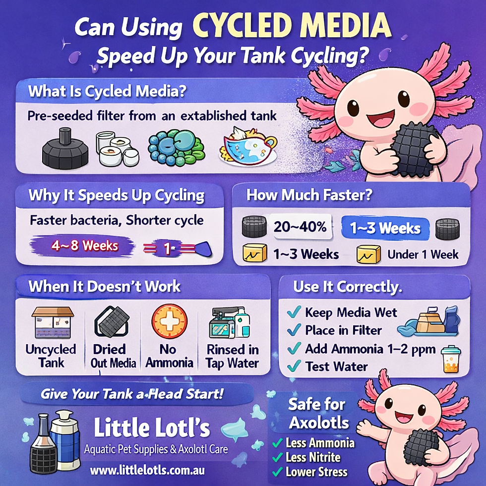 Can Using Cycled Media Speed Up Your Tank Cycling?